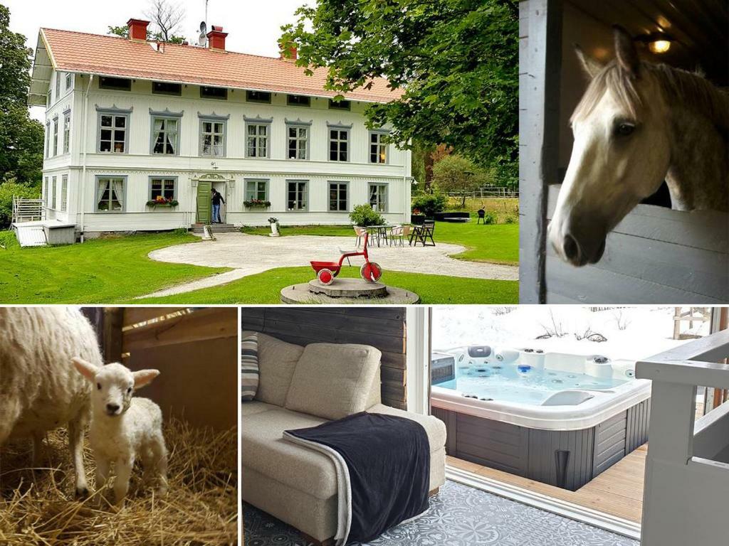 Myskje Gard Gastgiveri Soderala Экстерьер фото
